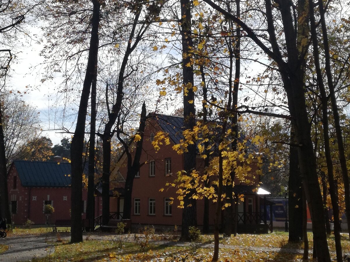 Флигели усадьбы Тимохово-Салазкино. Фото автора