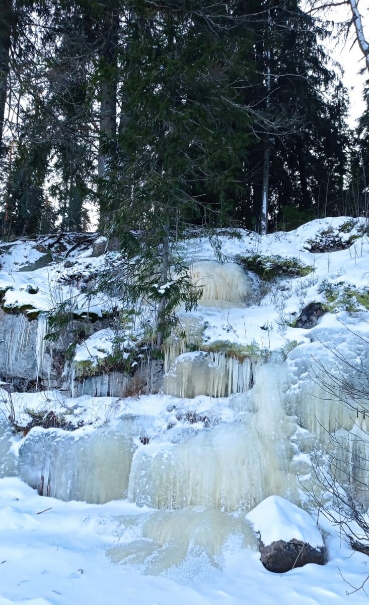 иллюстрация пылкости моих чувств)