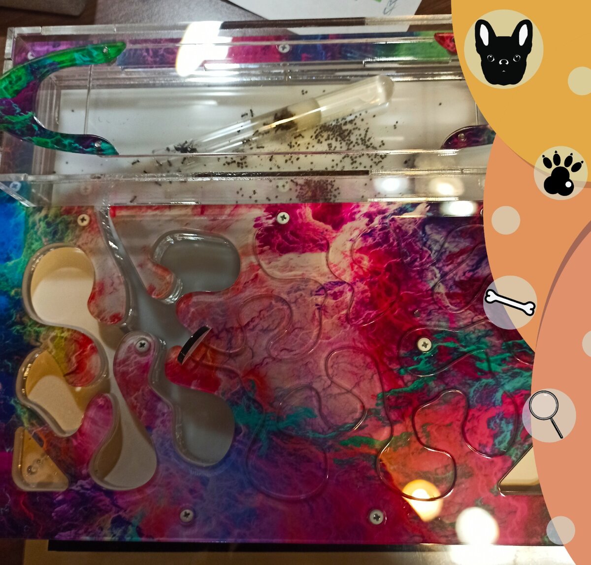 процесс переселения 