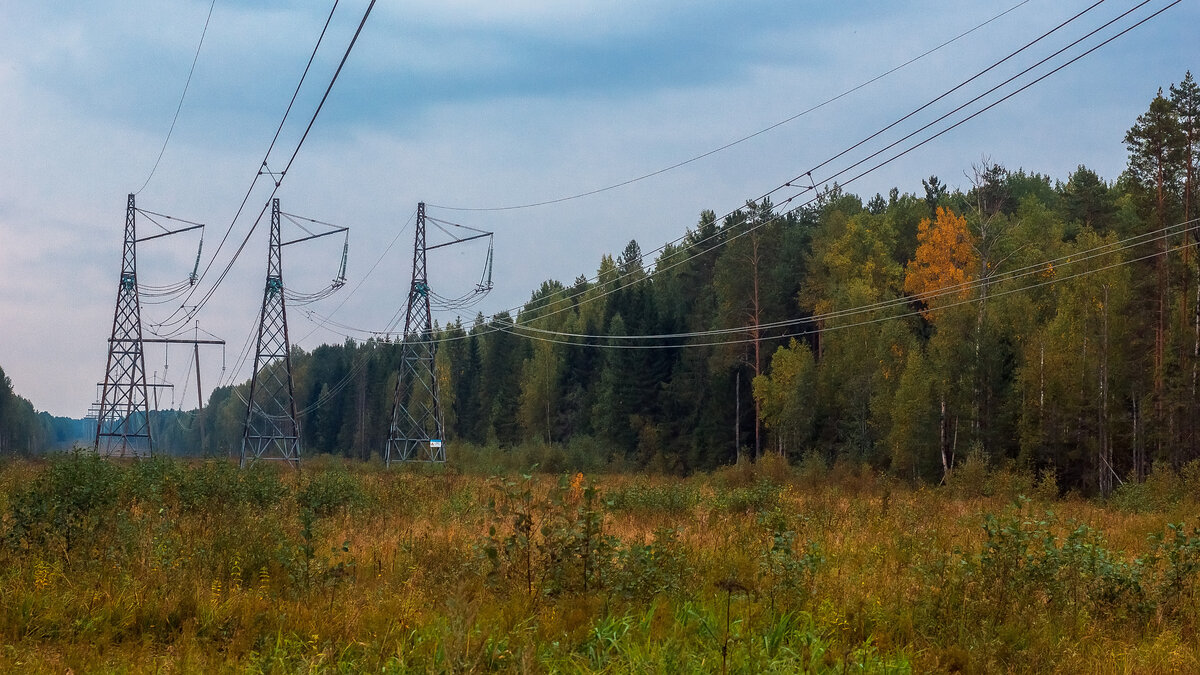 Начало фотоисторий. Как я промок насквозь в осенний ливень. Снял видео.