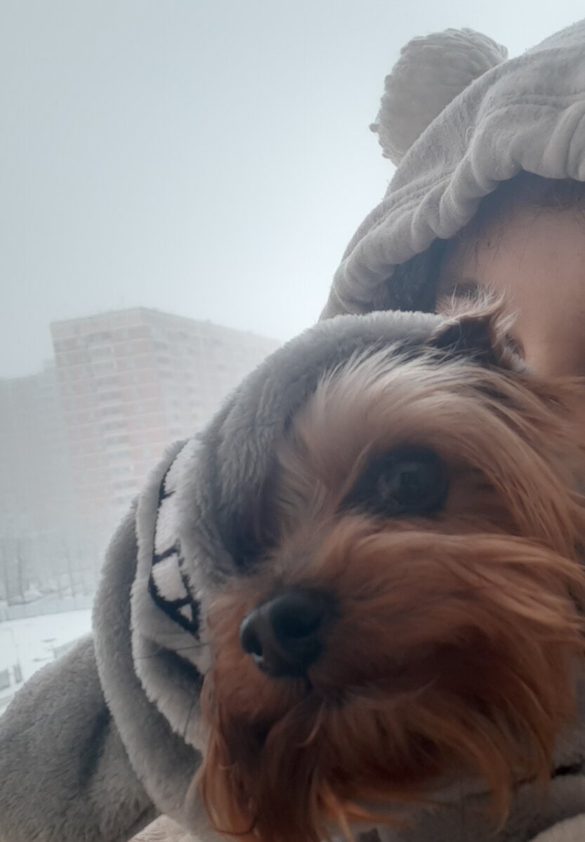 Михаил Сергеевич
