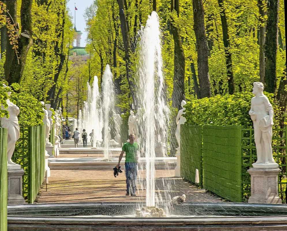 Зеленый сад санкт петербург