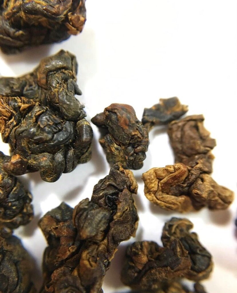 Габа Алишань из куста цин син