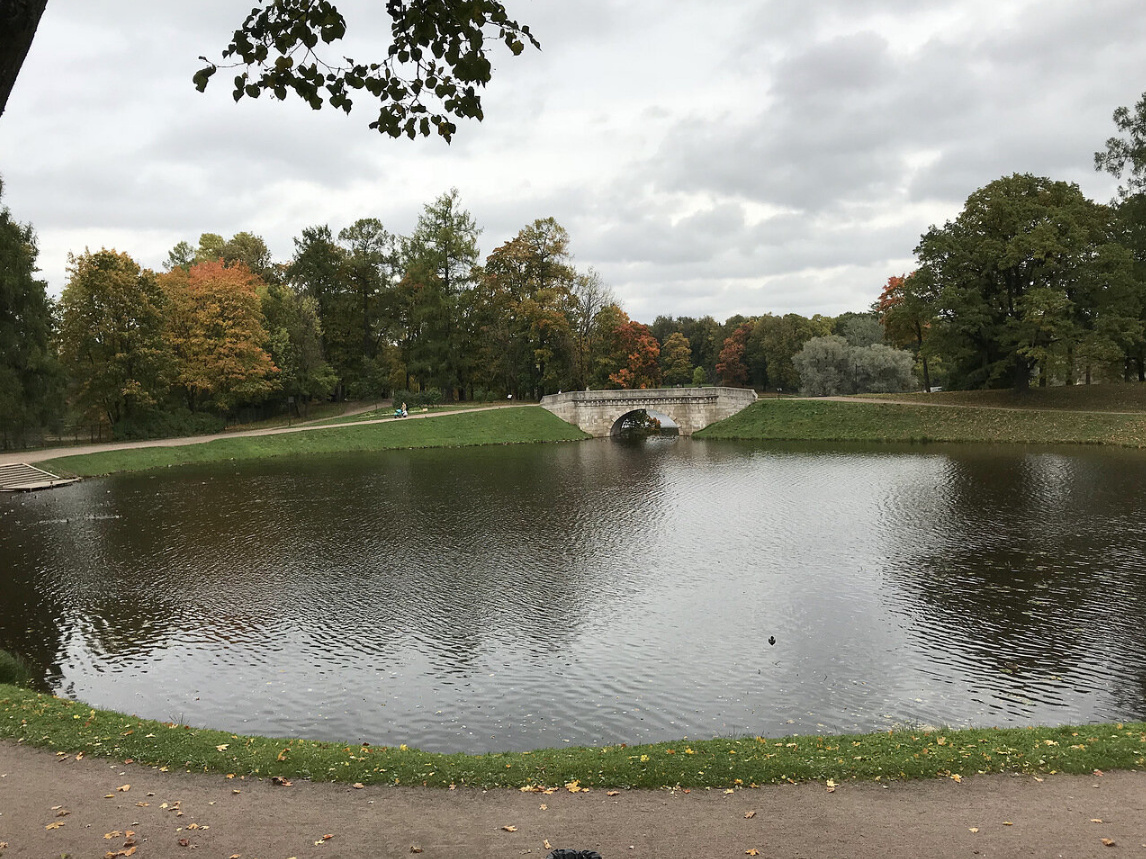 Парковое хозяйство