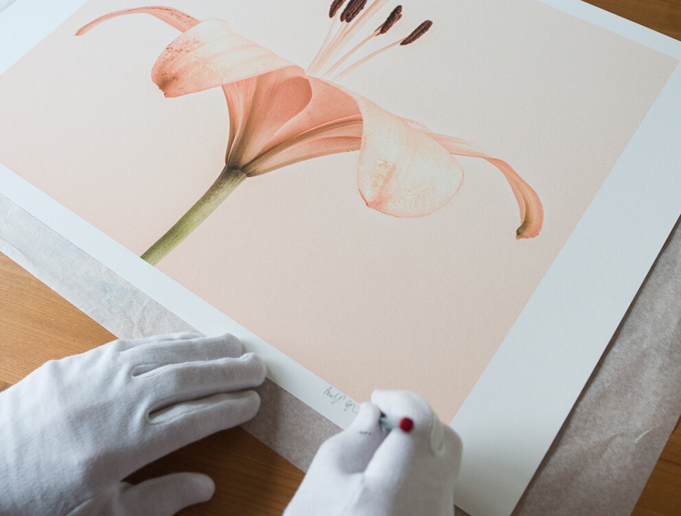 Автор: Paul J Coghlin https://www.paulcoghlin.com/