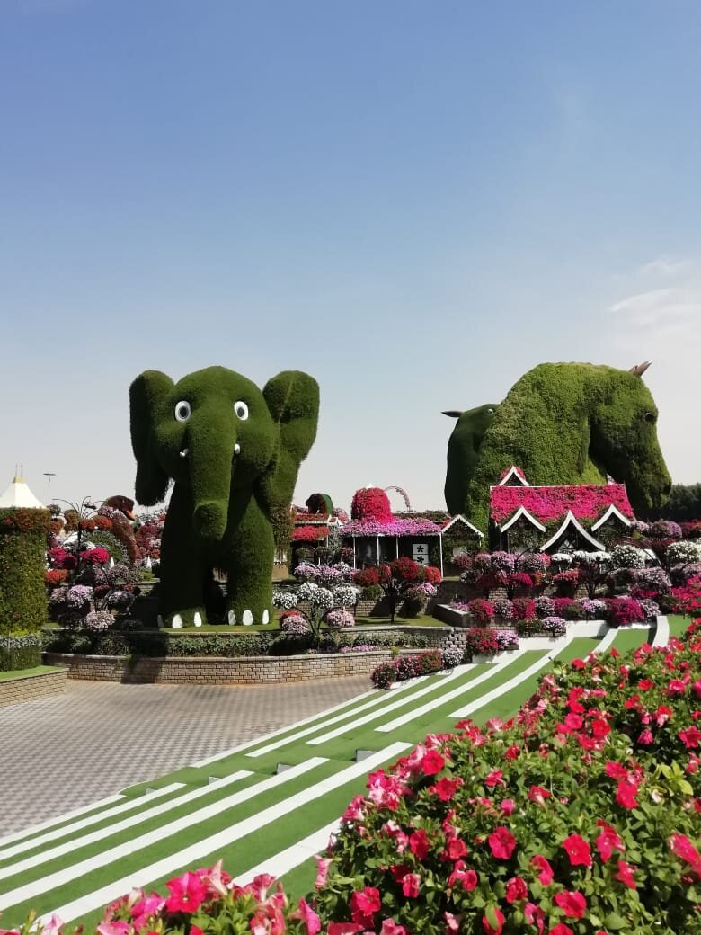 Цветочный рай! Dubai, Miracle Garden | Не сиди дома | Дзен