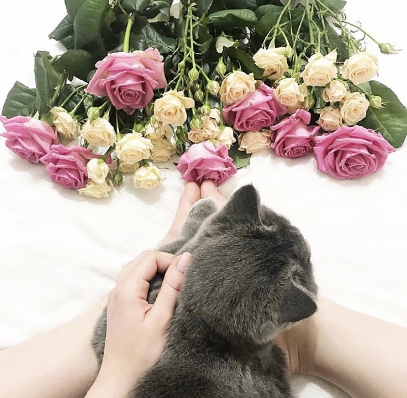 Самый главный секрет удачи в умении с ней сотрудничать