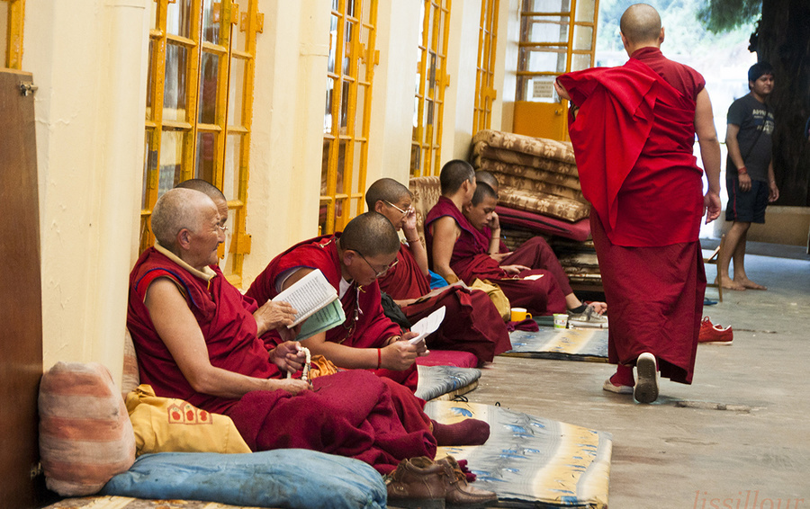 Фото Georges Lissillour / Getty Images 