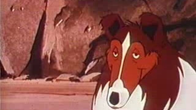 Кадр из сериала "Лесси и спасатели" 