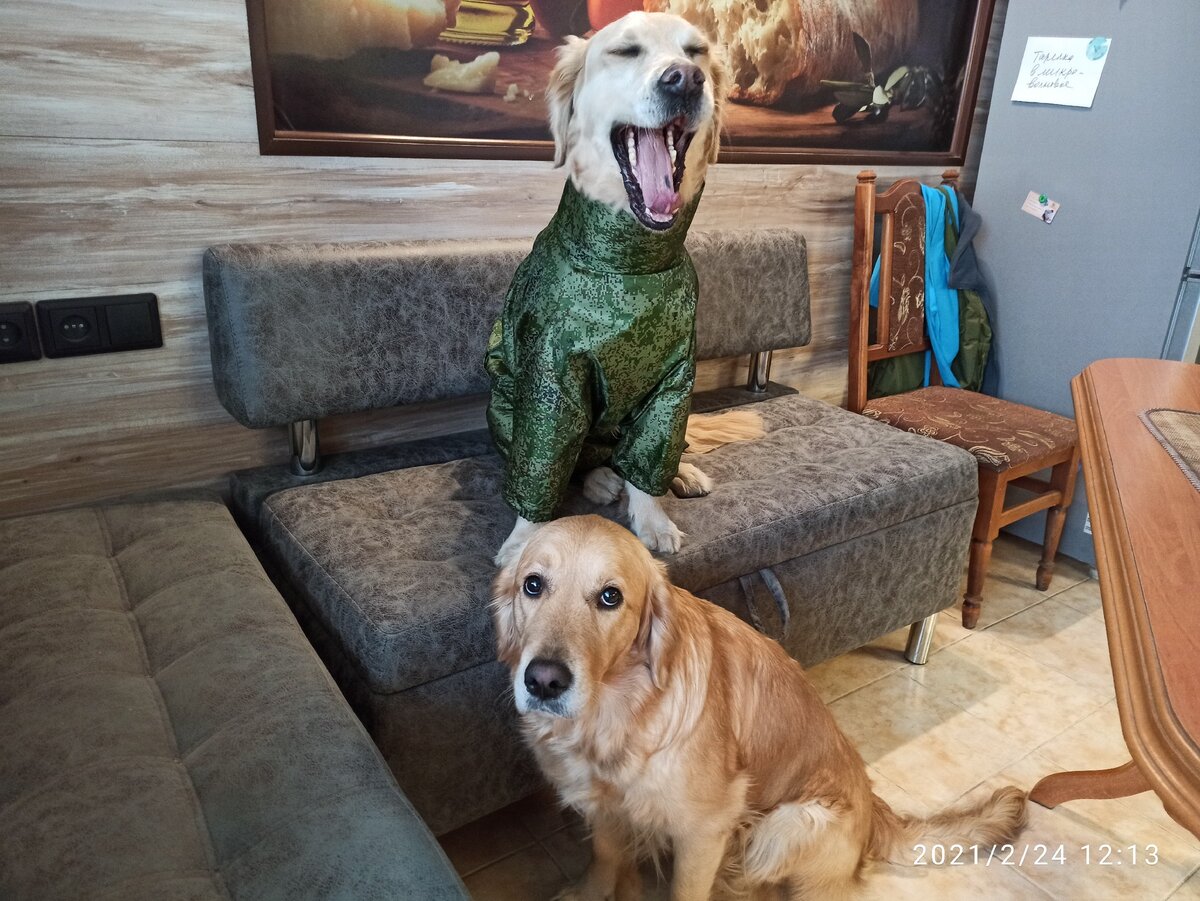 Ляля тоже хочет новый комбинезон