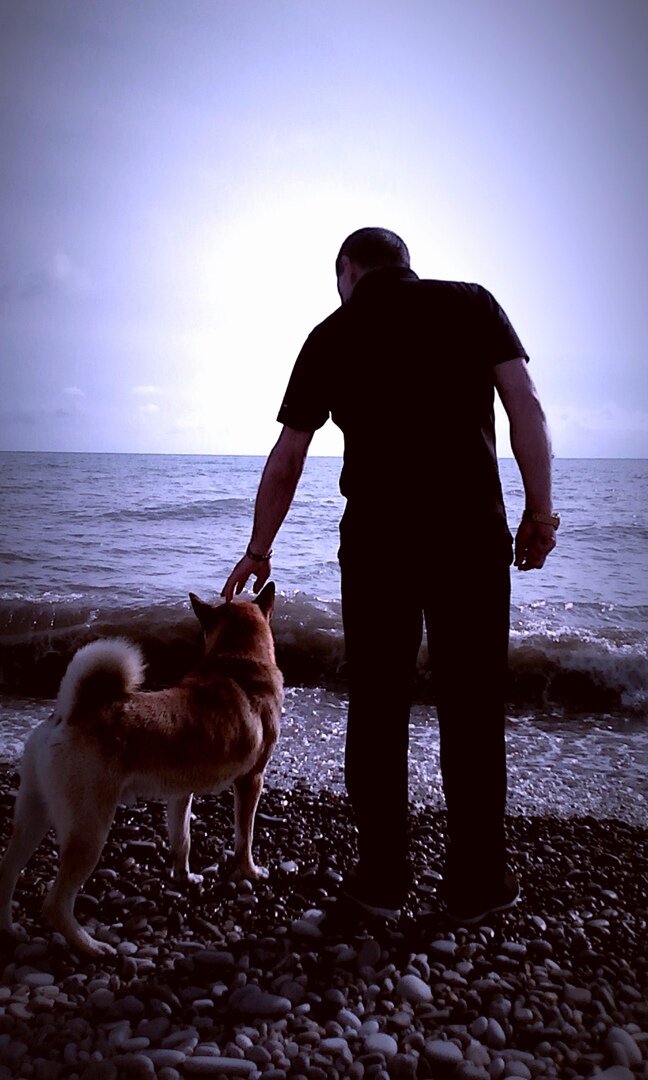 шарик лазаревский 