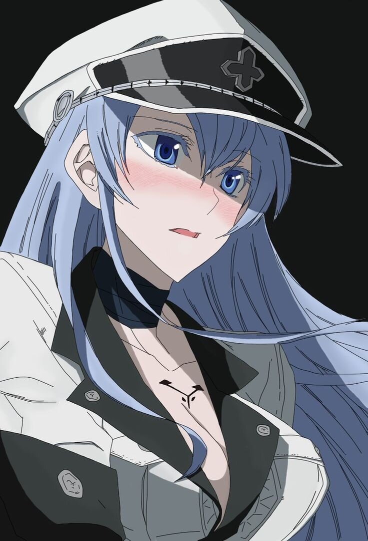 ТОП 5 САМЫХ КРАСИВЫХ АНИМЕ ДЕВУШЕК НА МОЙ ВЗГЛЯД, ЧАСТЬ 1 | GENERAL ESDEATH  | Дзен