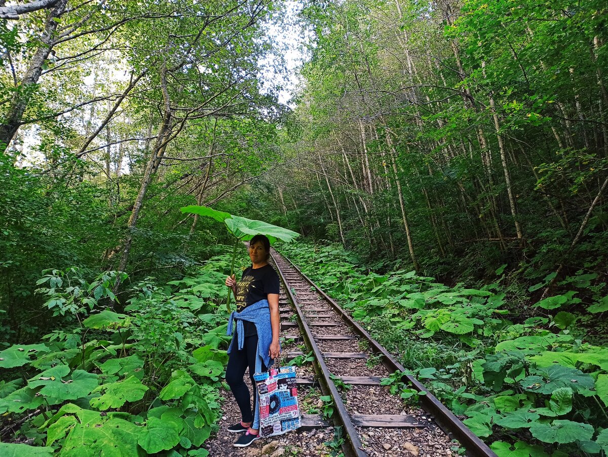 путь к Гуамскому ущелью