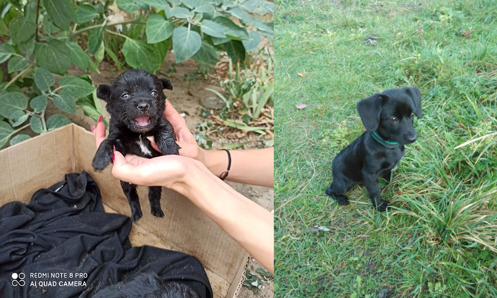 Фото предоставлено Анастасией Москаленко. Листайте дальше >>>