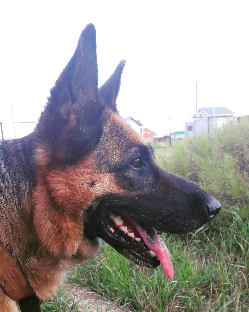 Моя девочка-красавица Ульяша.