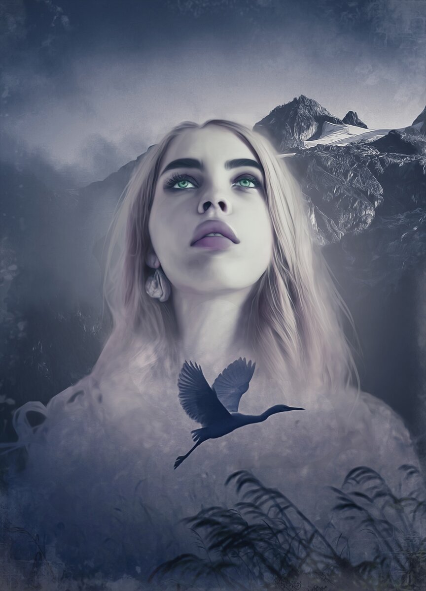                                                     Источник: pixabay.com