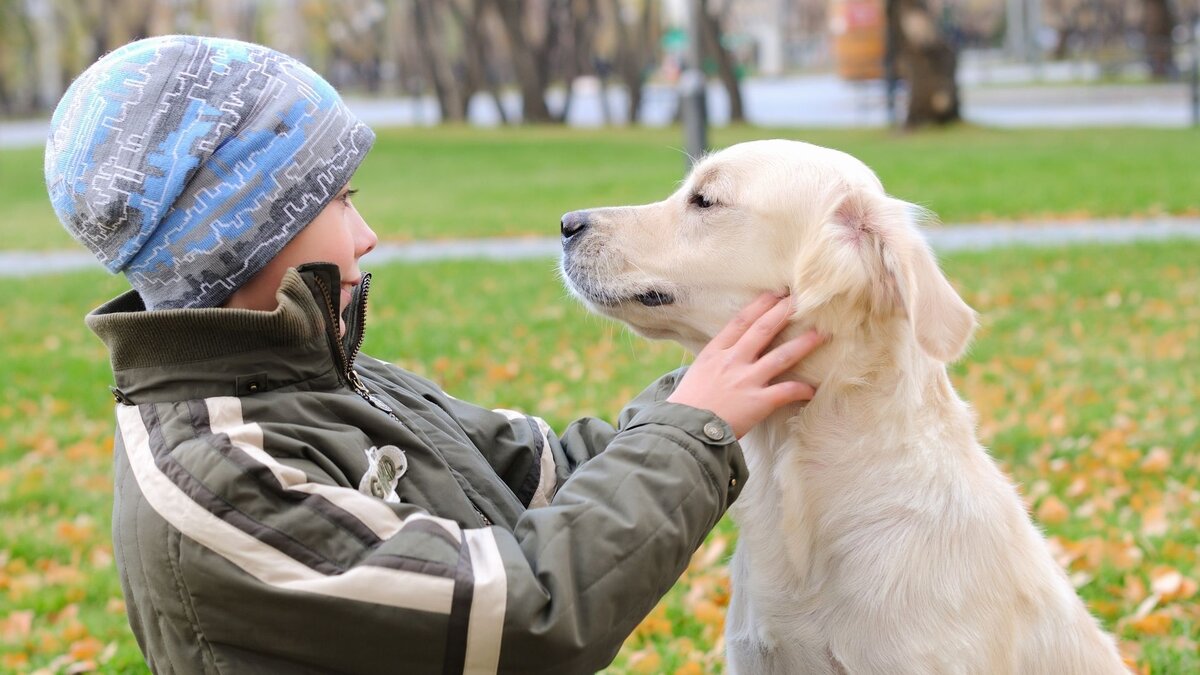 Жить в гармонии со своими близкими и не обижать их