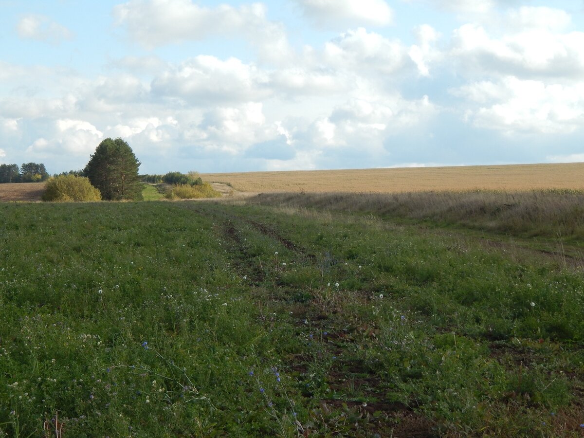 Справой стороны насыпная дорога в полях