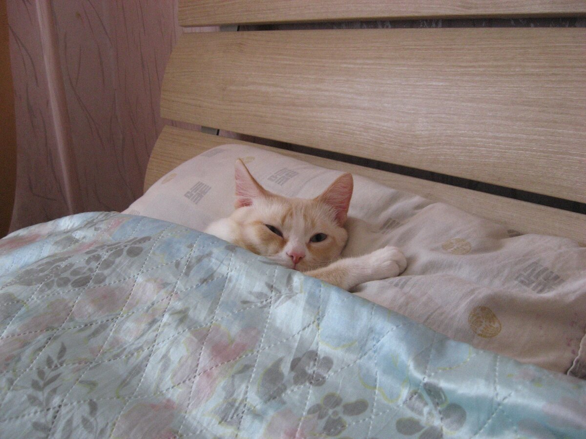 Рано утром на рассвете...