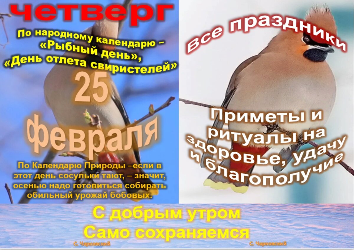 25 февраля день. 25 Февраля народный календарь. 25 Февраля какой день. 25 Февраля праздник день.