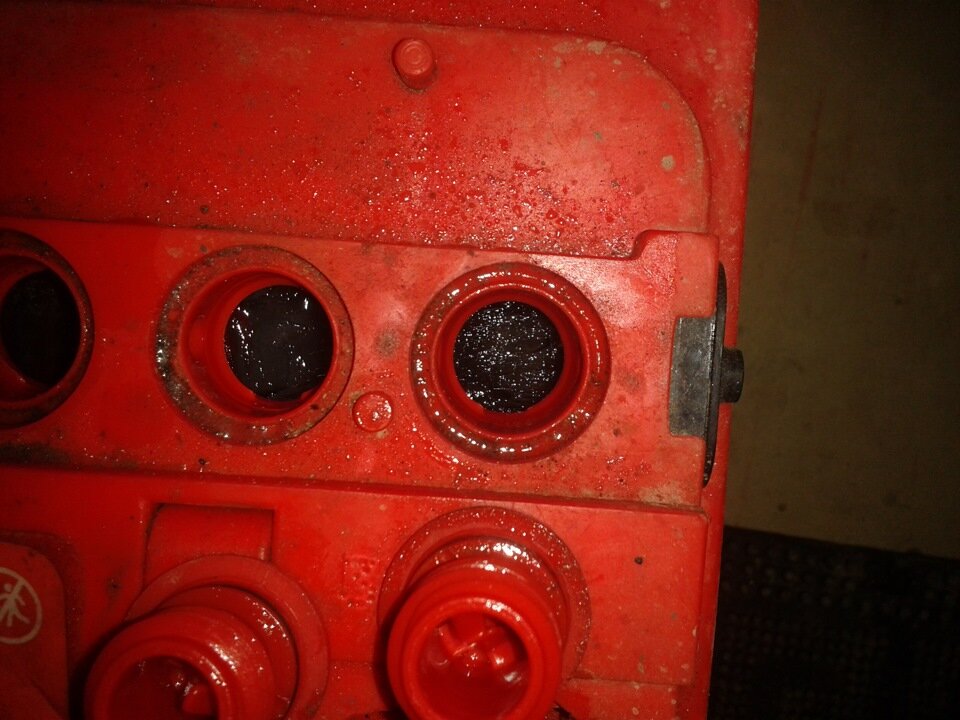 Фото автора.