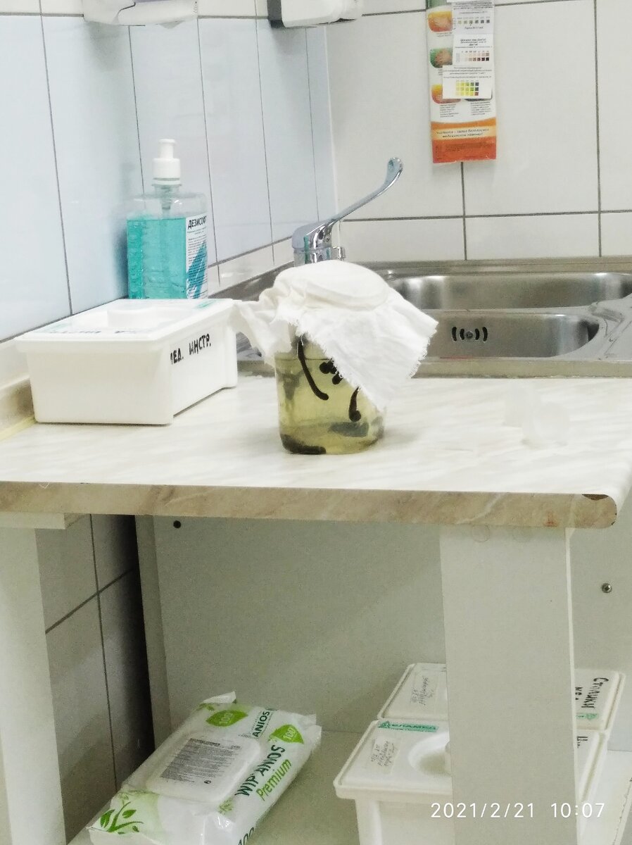 Пиявки активно используются в офтальмологии, про них рассказывают сказки, что они могут залезть в глаз и в ухо. 