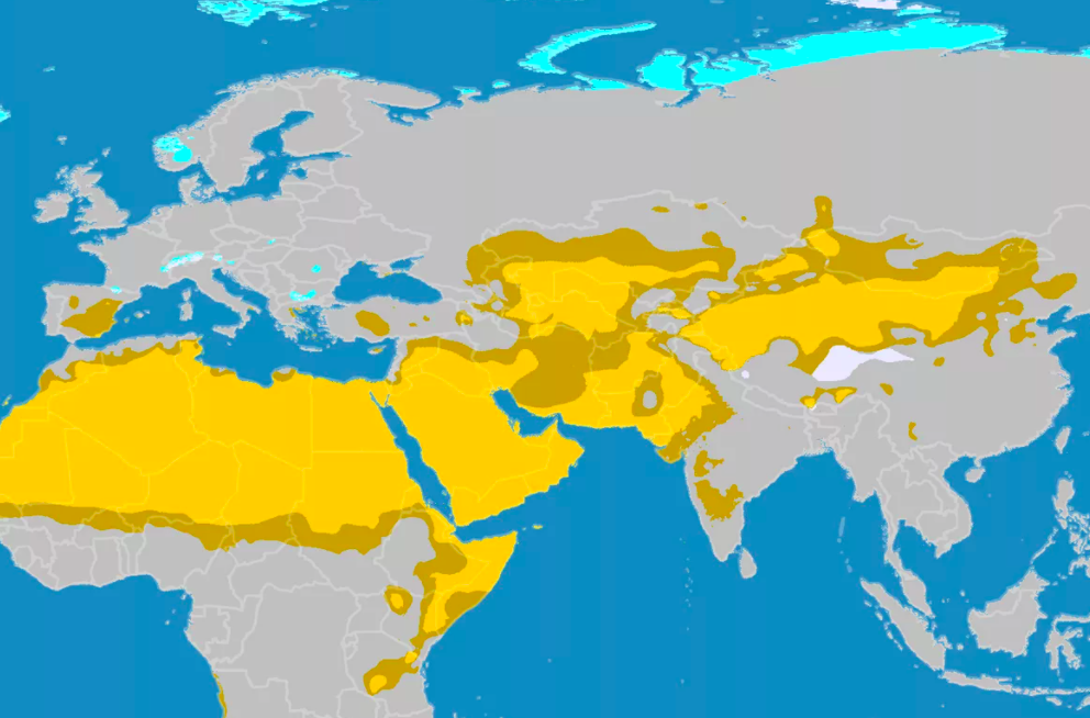 Самые большие пустыни на карте. Расположение пустынь в мире. Пустыни на континентах.
