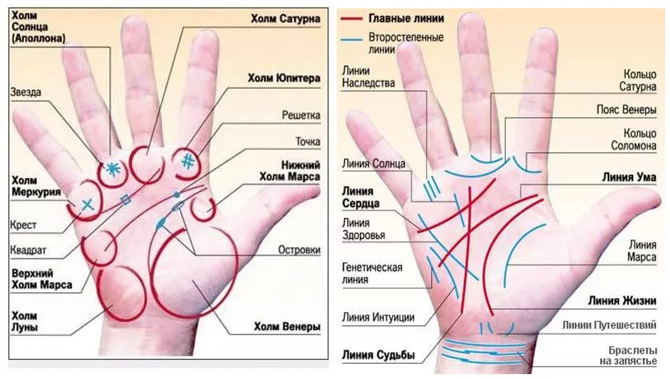 линия жизни на руке. хиромантия линия жизни левая рука. лежал на ладони какой. линии правой руки расшифровка. ладонь лежит на ладони.