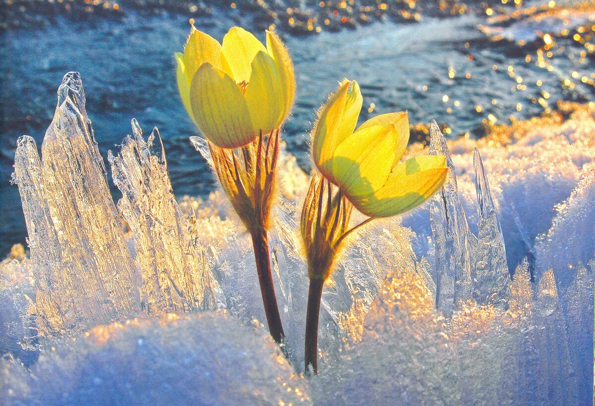 ...Знаешь, что слышат все, что волнует и трогает всех?  Там где в форму, 
в красиво-стандартную форму – залит успех..