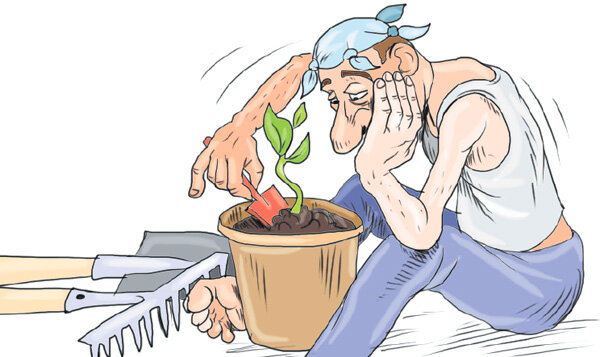 Если нет интереса, то и сажать ничего не стоит (фото взято с сайта hron.ru)