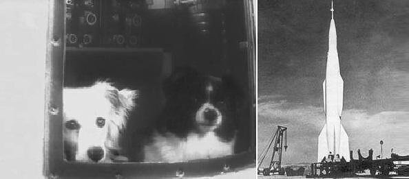 Ракета которая полетела в космос. Первая собака космонавт лайка. Собака лайка на спутнике 2. Что видит космонавт из ракеты. Полет гагарина в космос 12 апреля 1961.