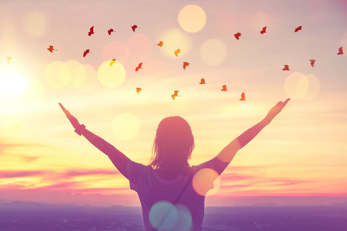 Взято из https://anews.com/