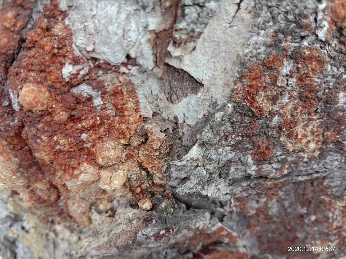 Непонятно нечто не издавало звуков и не шевелилось. Фото автора