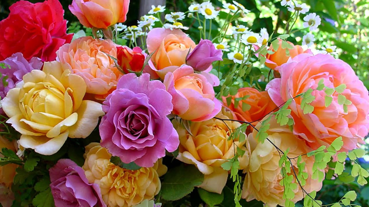 Яндекс картинки