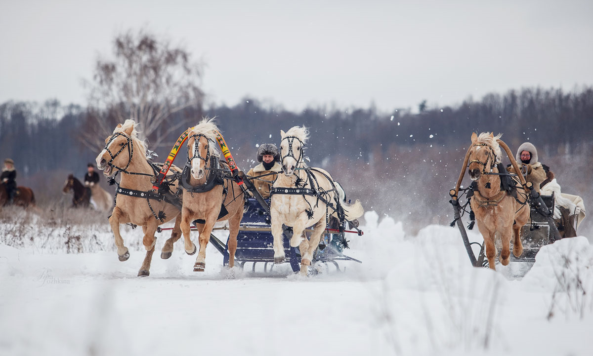 Тройка омск