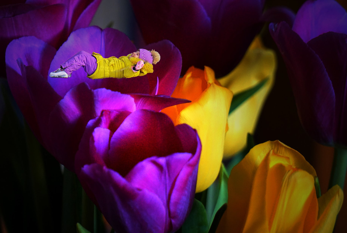 Свободное падение в весну... Фото автора