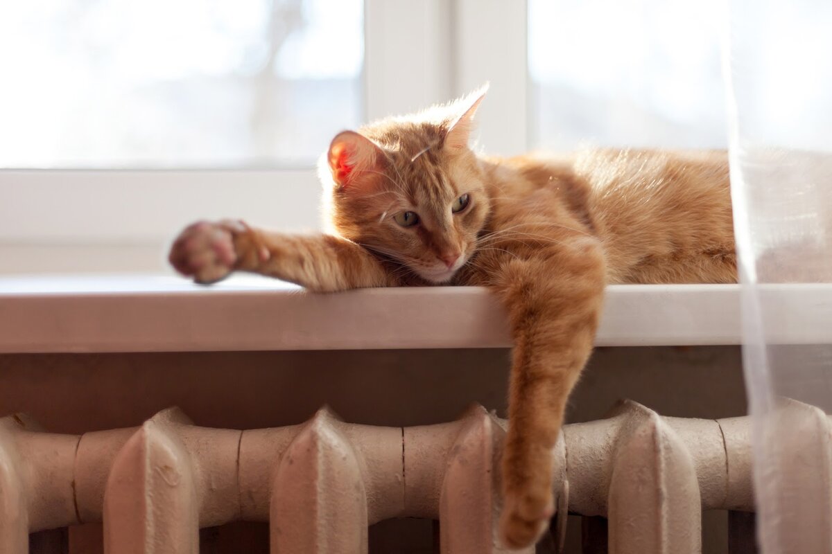 Когда включают отопление, воздух сохнет еще сильнее. Это одна из причин частых болезней осенью и зимой