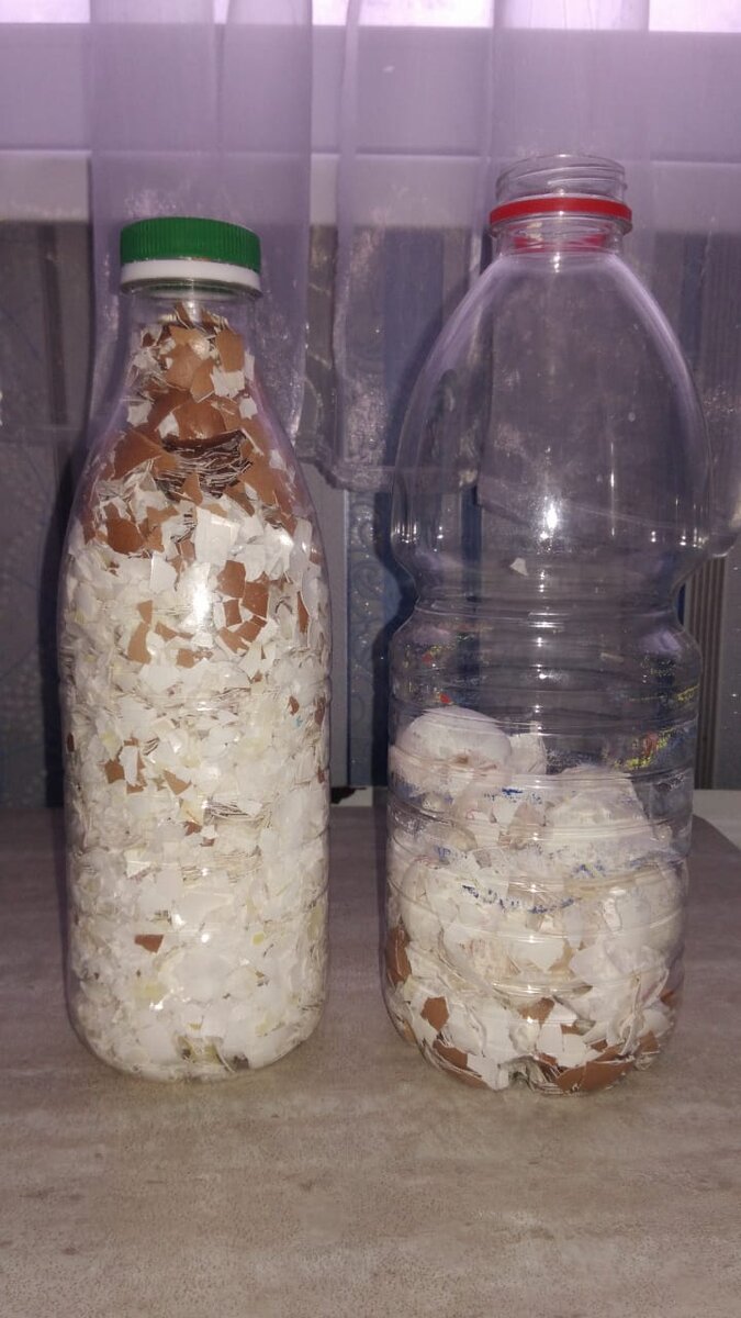 Фото автора. Надеемся, ещё немного подкопим к сезону.