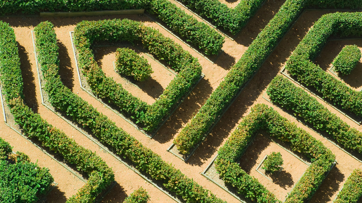 Ландшафтная мастерская Ильи Лациса