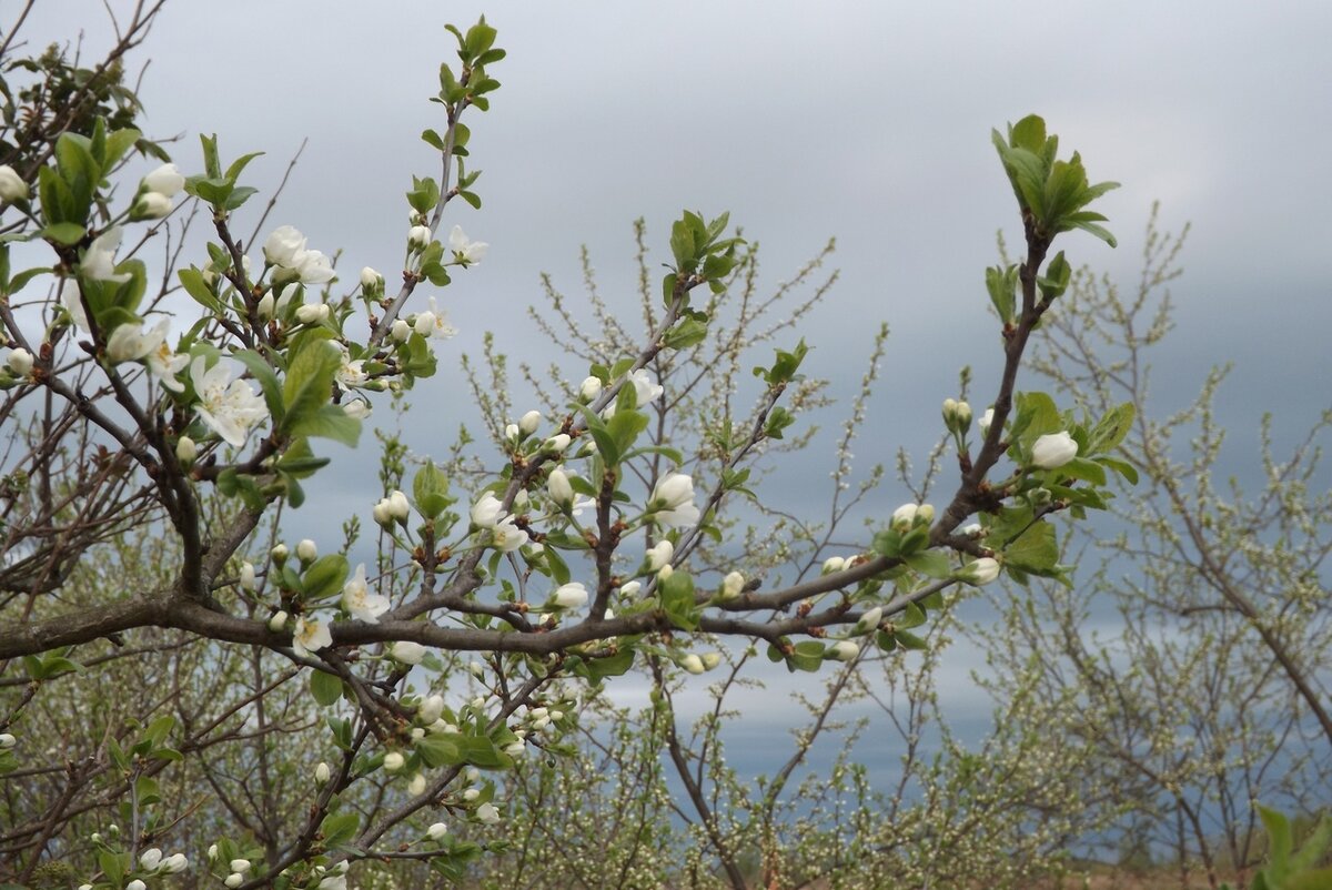 Фото Наталии Солдатовой.