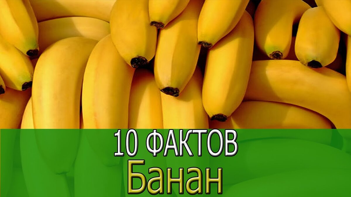 O banana. Интересные факты о бананах. 10 Фактов о бананах. 10 Интересных фактов о бананах. Самое интересное про бананы.