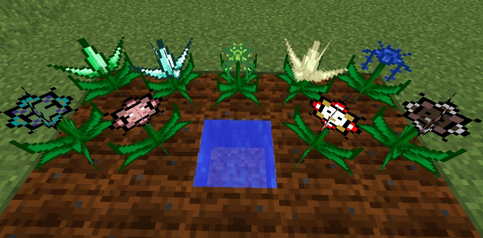 Растения, дающие необычные плоды.