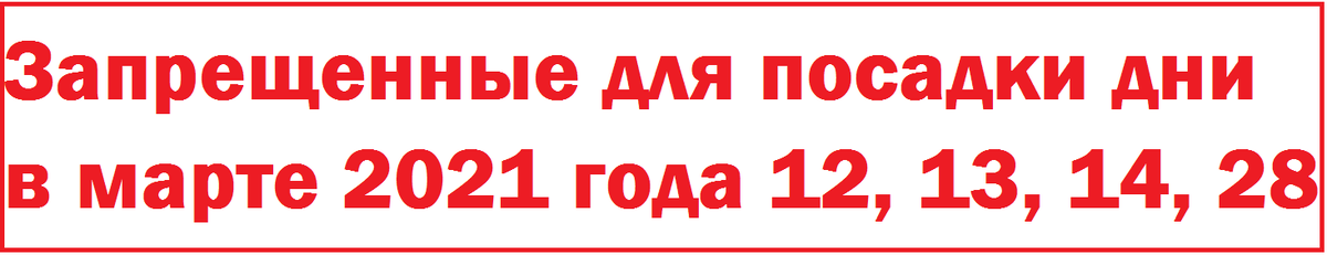 Календарь садовода март 2021 года посевной