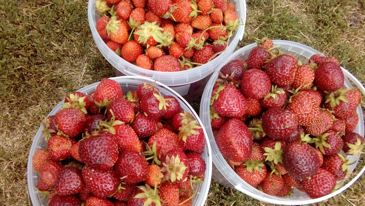 Фото из архива автора.