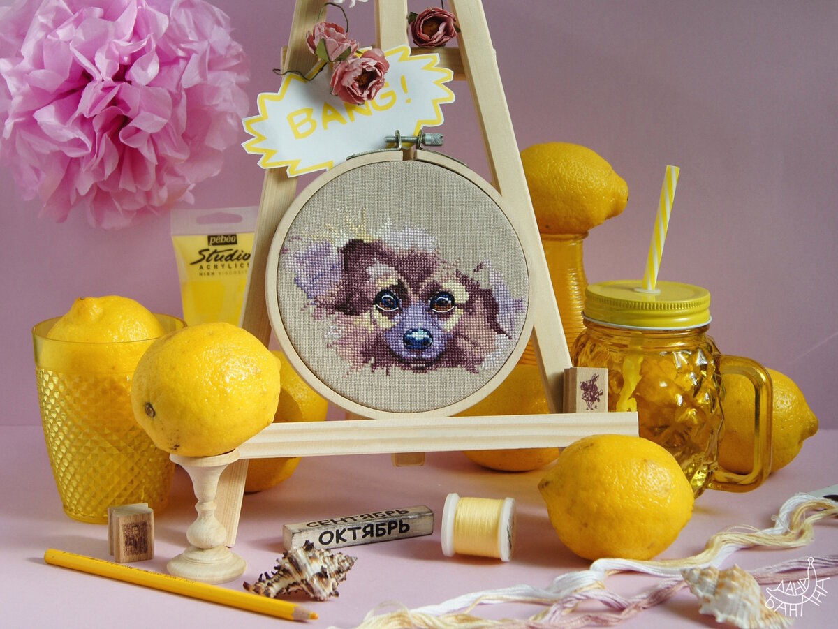 Пёсик прибавил в весе: готова левая половина головы