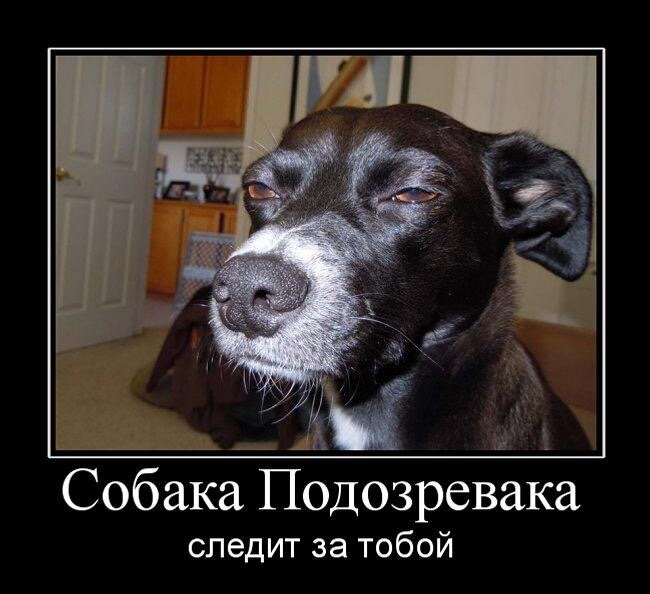 Сразу мем вспомнился