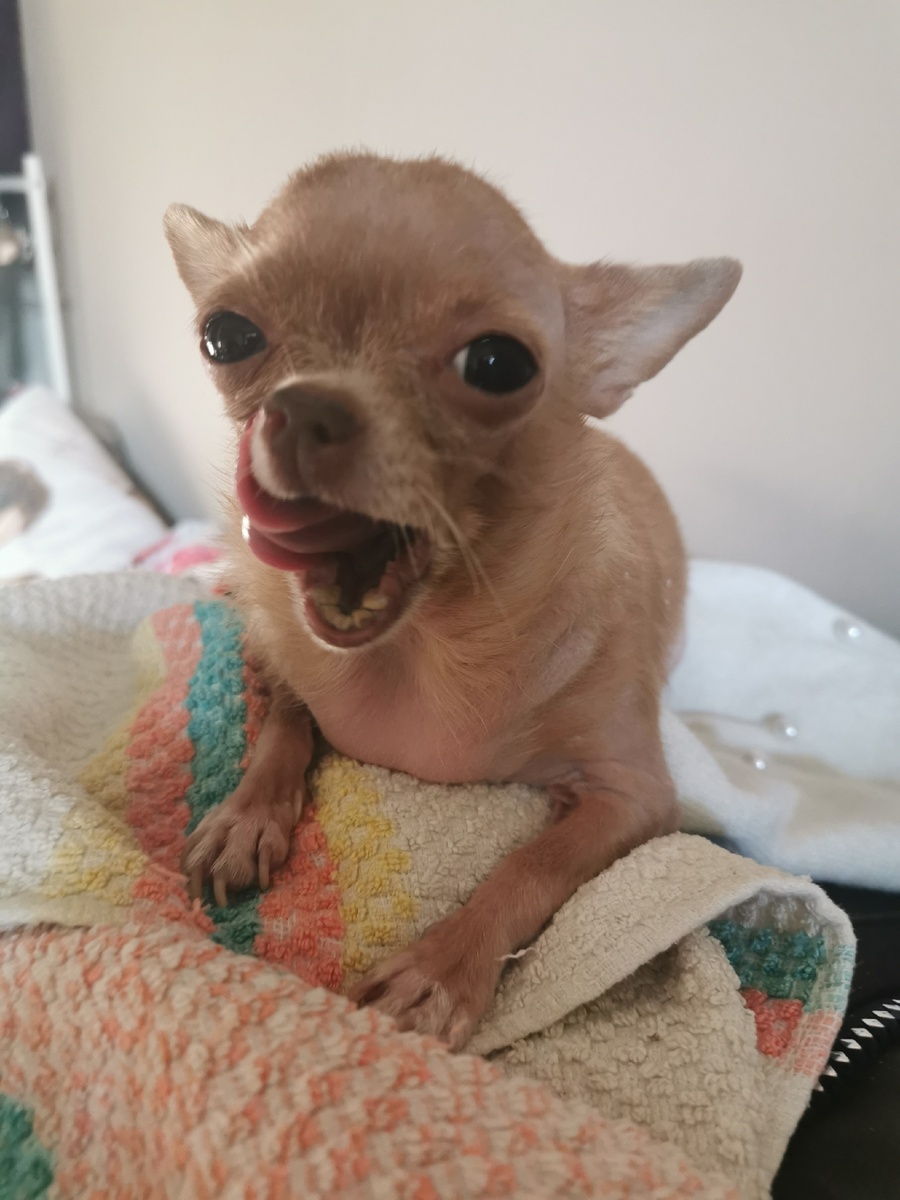 Мое сердце...