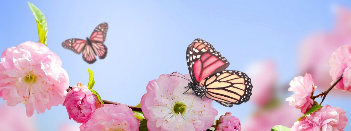 🍀 "AURORA" 🍀 - Мощный прорыв в оздоровлении и омоложении! 🍀💦🍒                                                💦 🍋 💦 Интернет - магазин https://aur-ora.com