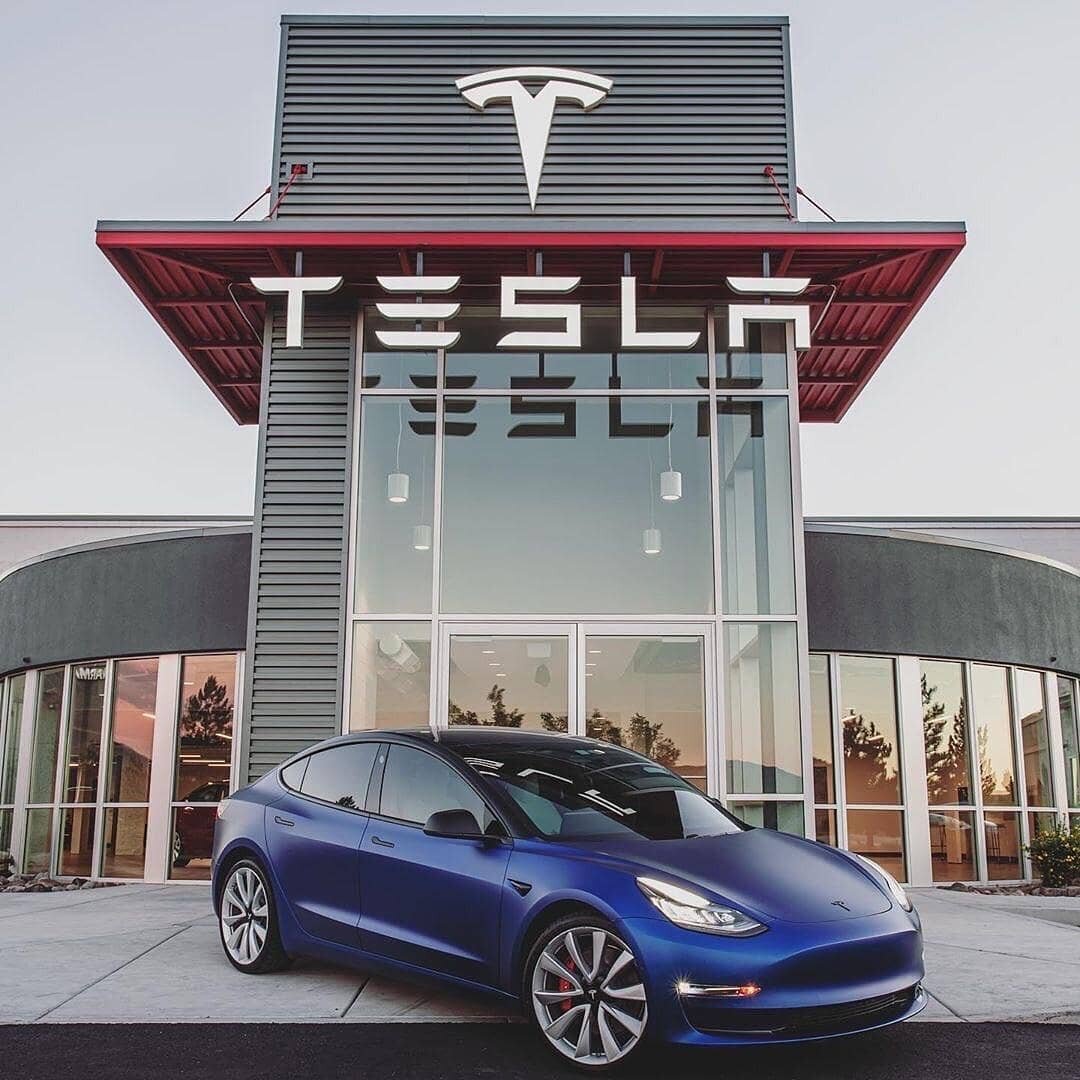 Автор фото - Илон Маск в России