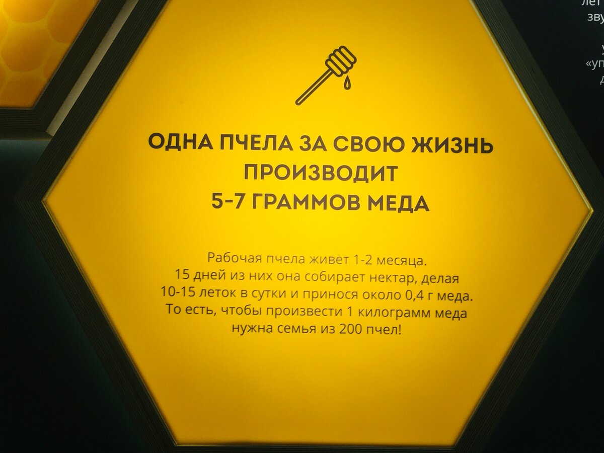 ВДНХ! Пчеловодство - павильон №28 в 2021 году! Как, что, по чем? Пчеловодам  с детьми - обязательно к посещению! | Пасека 2.0 | Дзен